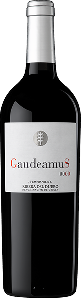 8-oro-de-castilla-gaudeamus