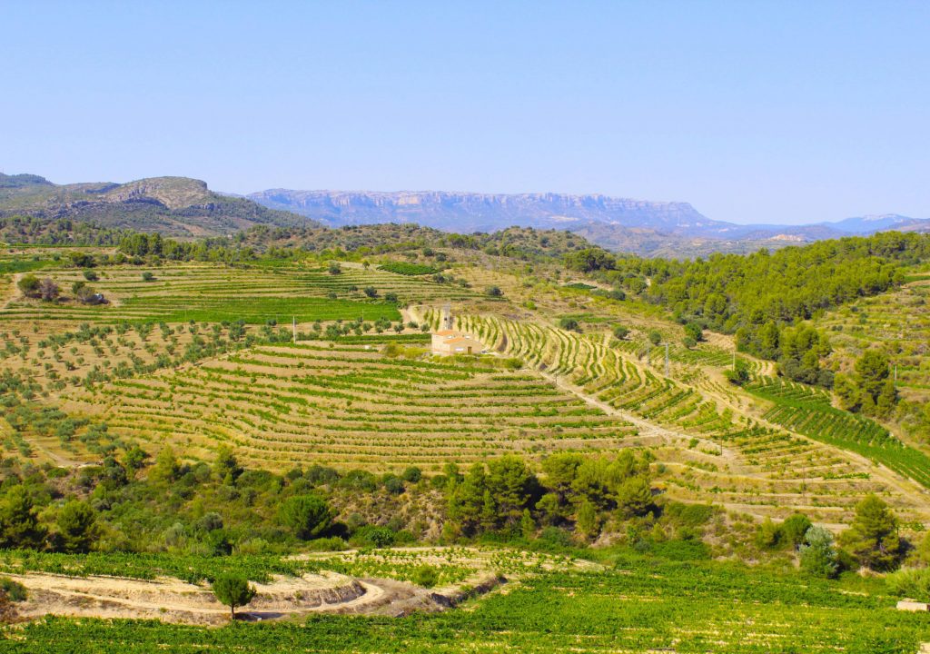 Bodega-de-centenario-Priorat-scaled-1-p4vyyvyroi7ybfvmllq46i85xnitqhr9xz9b2jme5c