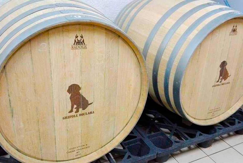 WhatsApp-Image-2019-03-04-at-18.09.07