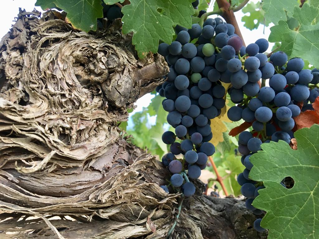 ba4feea0-c7ed-4c5a-acbc-1ffd2836f265