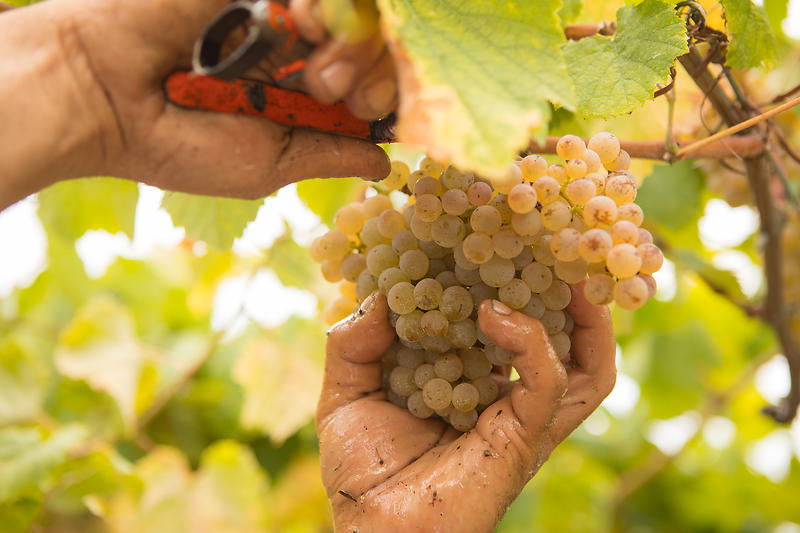 p1c4mikee1t0g19rv1ei71ufnck13