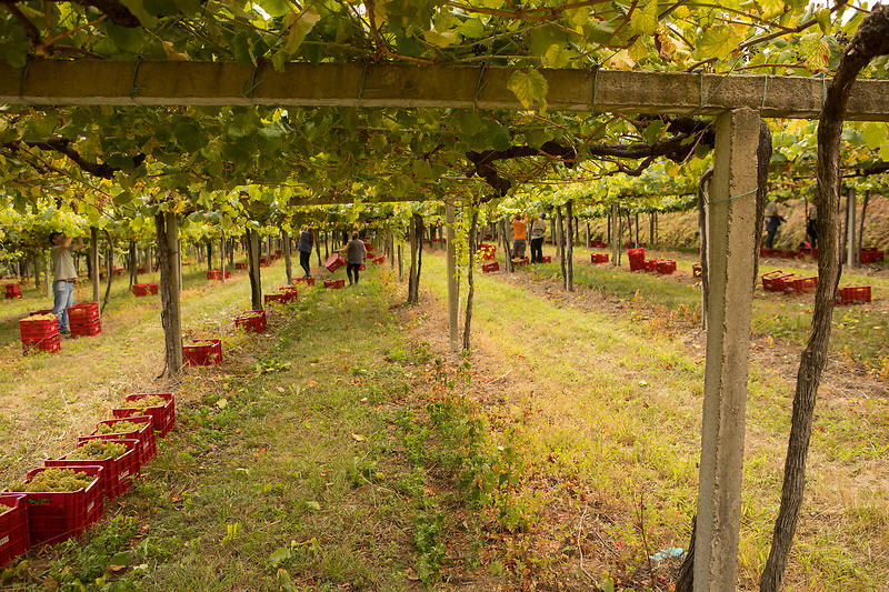 p1c4minsfg1d5phccfn3qgu1f0j2f